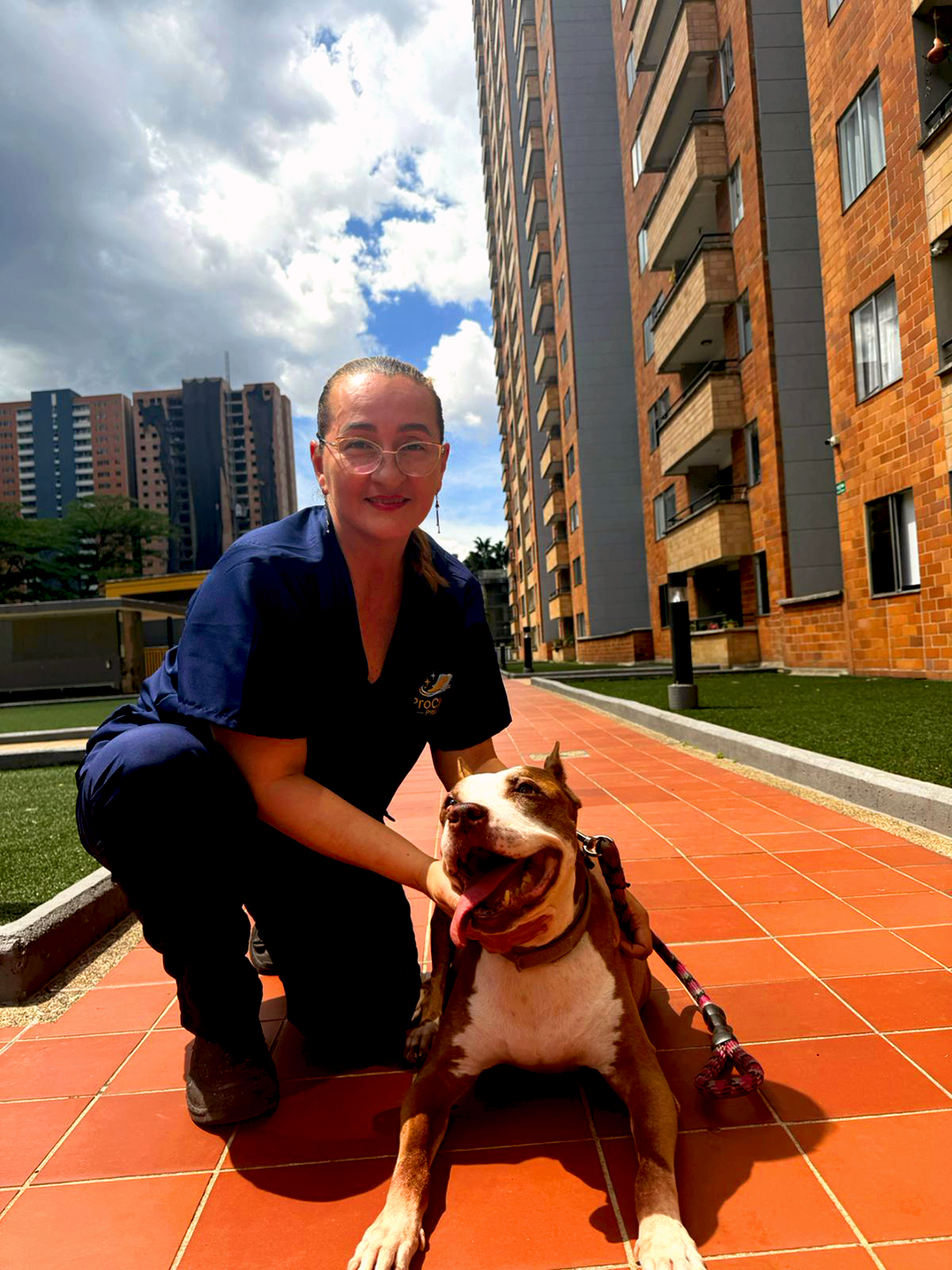 Profesional de ProClean Prime con perro, brindando servicio de pet grooming a domicilio